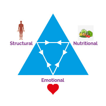 Triangle of Health