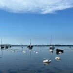 Emsworth Harbour, near our new home.