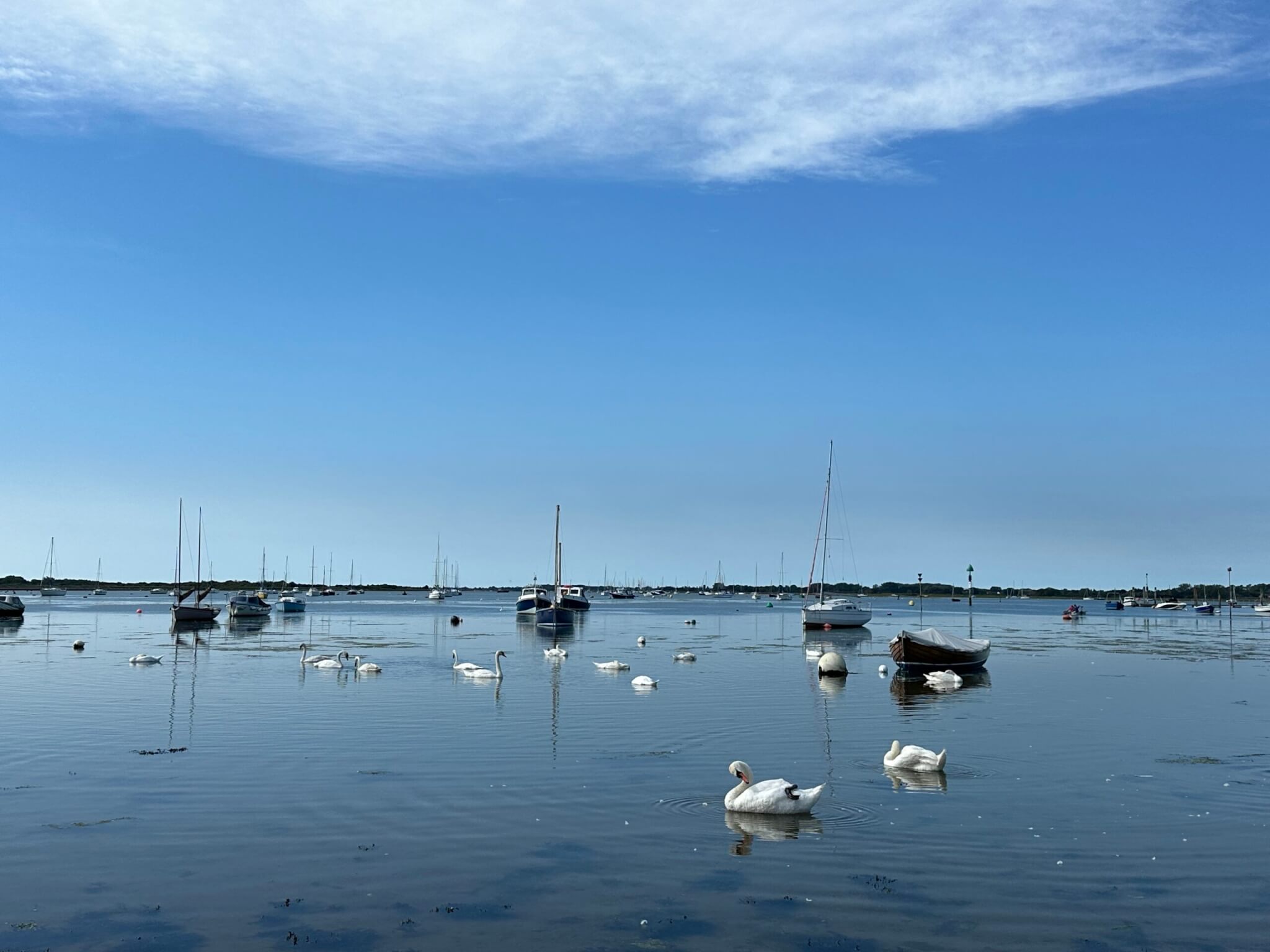 Emsworth Harbour, near our new home.